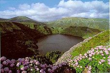 Paisaje de montaa